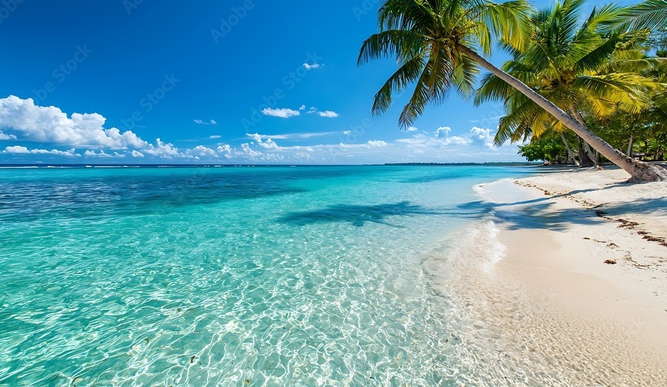 Beach Vacation- Seabeda.travel