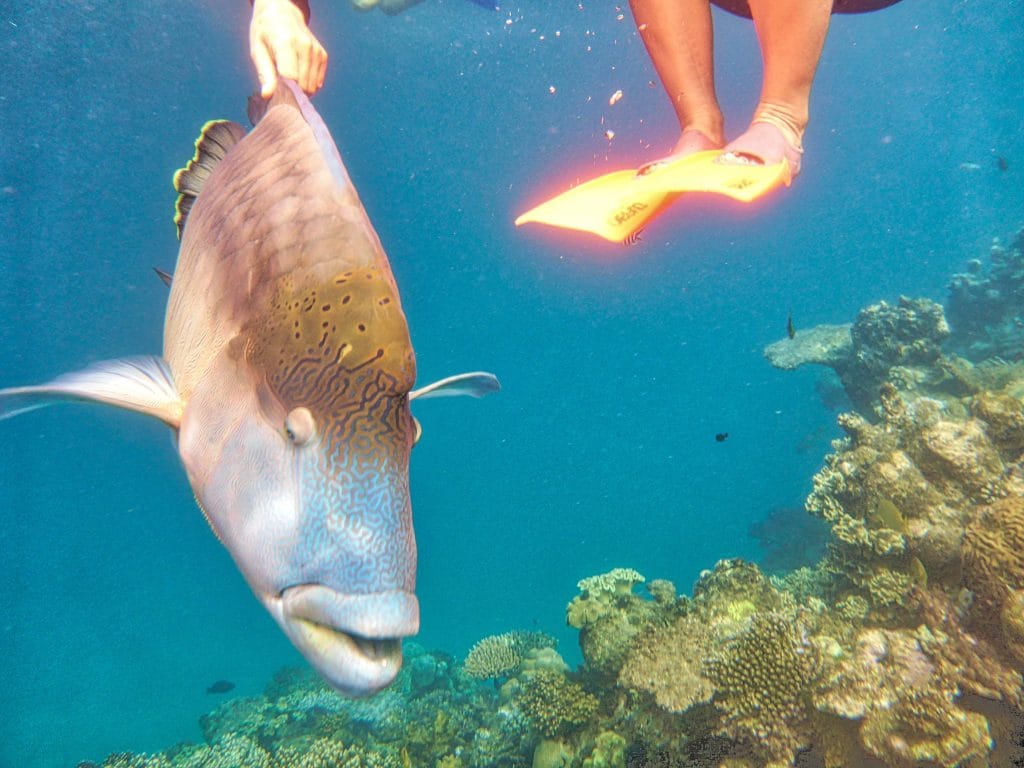 Places In Australia, famous tourist places in Australia- seabeda.travel